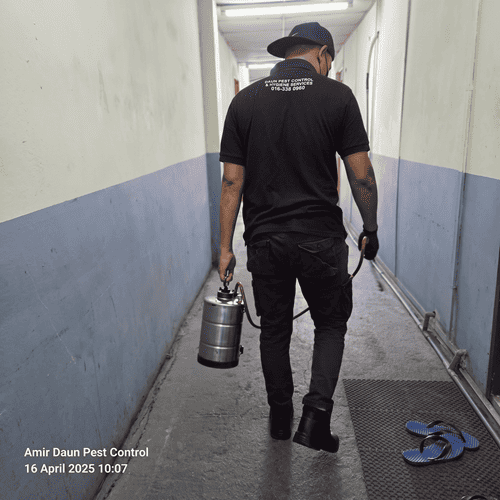 Bed Bug Treatment 1 - Daun Pest Control And Hygiene Services
