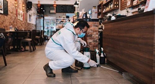Service